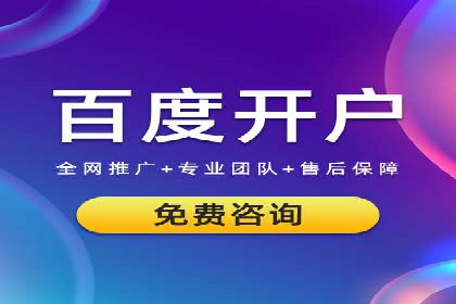 行业领先企业的SEM代理案例剖析